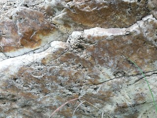 Rock stone surface, rock background.  Texture of rock.