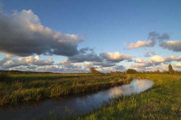 Fototapeta premium River in the meadow during sunset.