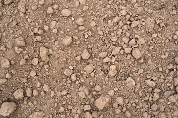 Agricultural soil after sowing for the background.