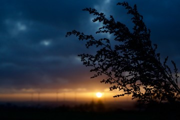 Fototapeta premium Horizon / Horizont