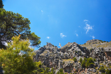 Landscape of Palma de Mallorca island in Spain