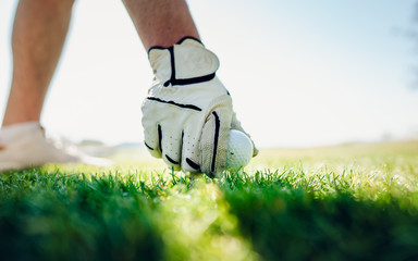 Hand with a glove is placing golf ball on the ground. Sport objects related to golf such as gloves, balls. Before start of game on green play field. Soft focus or shallow depth of field.