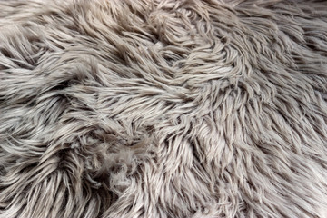 A grey fur texture background