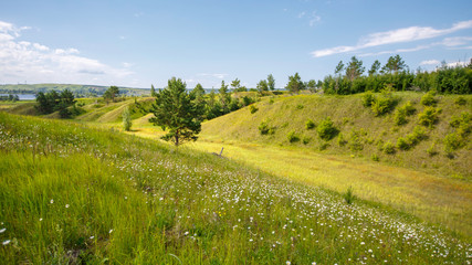 hills overgrown with trees and grass on a sunny day