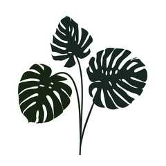 monstera leaf silhouettes vector - obrazy, fototapety, plakaty