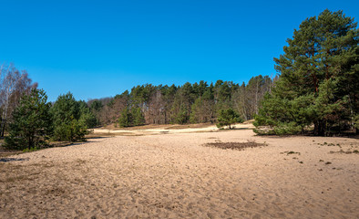 Sand strips in the forest on the former inner German border in Schildow, Brandenburg, Germany