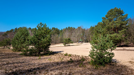 Sand strips in the forest on the former inner German border in Schildow, Brandenburg, Germany