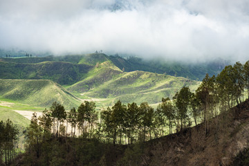 Fototapeta premium Stunning view of a beautiful mountain range surrounded by clouds during sunrise. Ijen Volcano complex. The Ijen volcano complex is a group of composite volcanoes located in East Java, Indonesia.