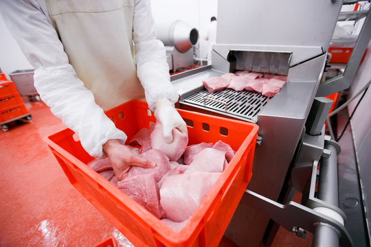 Meat company, industry. A worker hands holding a raw cuts of minced meat, introduced into an introductory washing in the meat production process.