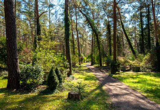 Landschaft im Umland von Berlin