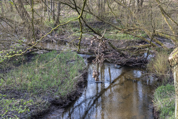 Wildlife Sanctuary Hahnheide - mill stream