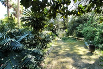 Leafy and green gardens at the Botanical Garden of Lisbon