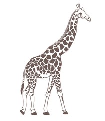giraffe sketch tattoo