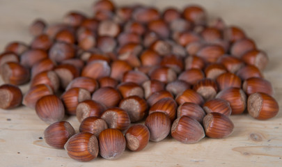Macro photo Hazelnut nuts. Photo nature food Hazelnut nuts in shell