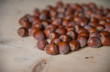 Macro photo Hazelnut nuts. Photo nature food Hazelnut nuts in shell