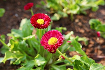 한국 경기도 시흥시 시흥갯골생태공원 입니다