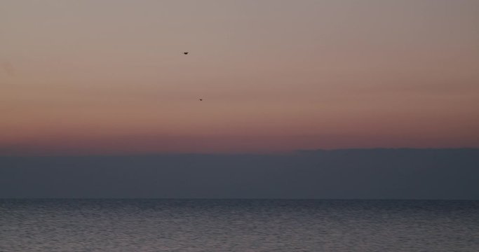 Landscape extreme wide shot, birds flying sunrise, ocean, Almeria, Spain