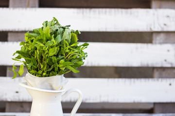 Oraganic fresh green bunch of mint, peppermint. Vegan calming tea herb. 