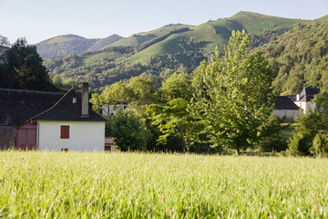 Pyrénées Atlantiques, Haux,Campagne