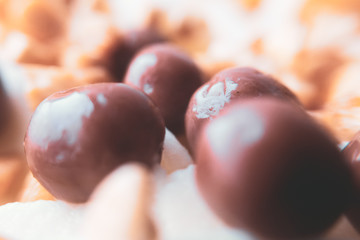 A close up of food. Delicious chocolate ball candies with crushed nut