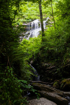 Larrau,Gorges Holzarte