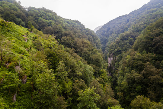 Larrau,Gorges Holzarte