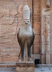 Ancient egyptian statue of falcon god Horus at the Temple of Edfu. Nubia, Egypt
