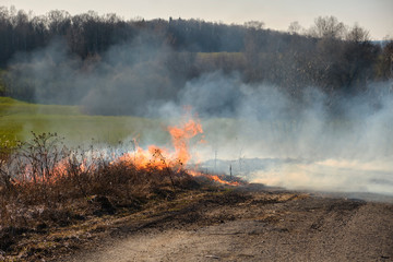 Fire. Burning last year's dry grass could turn into a tragedy.