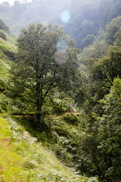 Larrau,Gorges Holzarte
