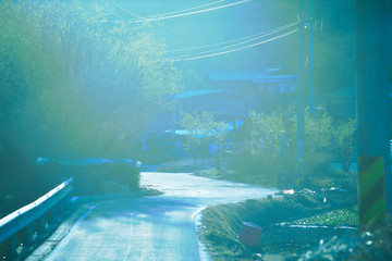 산골에서 봄을 알리는 가장 빠른 꽃 산수유