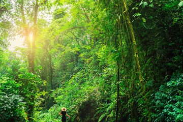 Girl in straw hat from back. Girl walks in the tropical jungle and looks at the sunset sun. Adventure, tourism, exploration and travel concept.