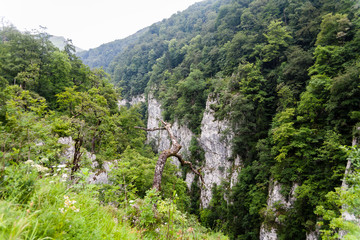 Larrau,Gorges Holzarte