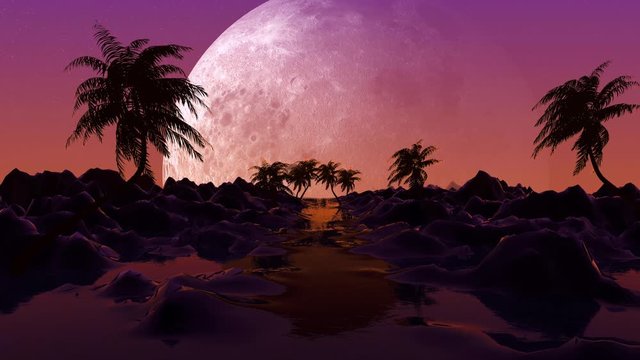 Palm Tree Flyh to Big Moon.Concept is silhouette Coconut tree fly to the Big Moon loop animtion.
