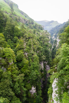 Larrau,Gorges Holzarte