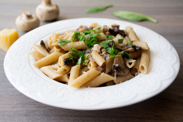 Vegan creamy mushroom garlic pasta with red onions garnished with basil in a white plate with its ingredients in the background, everything on the gray wooden surface