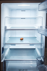 one egg in empty refrigerator