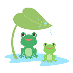 ハスの葉とカエル