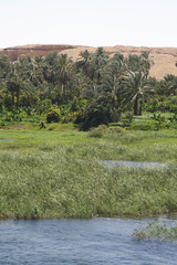 
Landscapes on the Nile in Egypt