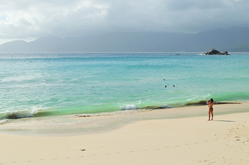 Fototapeta na wymiar Tropical sandy beach on Seychelles islands