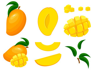 Set of fresh whole, half, cut slice mango fruits isolated on white background. Summer fruits for healthy lifestyle. Organic fruit. Cartoon style. Vector illustration for any design. - obrazy, fototapety, plakaty