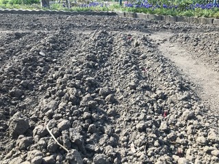 plowed field in spring