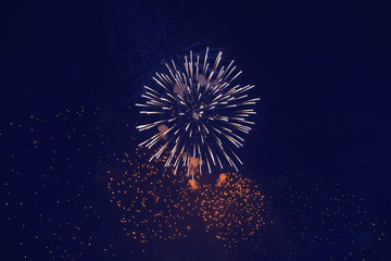 Beautiful Firework at night. Red and blue burst - black sky, long exposure