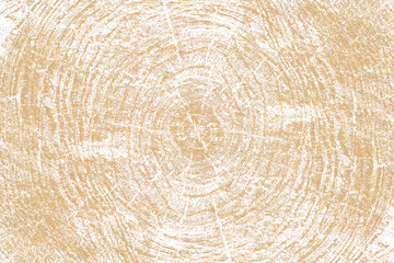 Tree in section. Grunge background for posters, cards, invitations, sites, wallpapers, wrapping paper, gift boxes, banners, business cards, covers.
Sketch for wall, floor tiles, kitchen worktops.