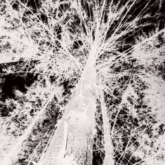 abstract grunge background