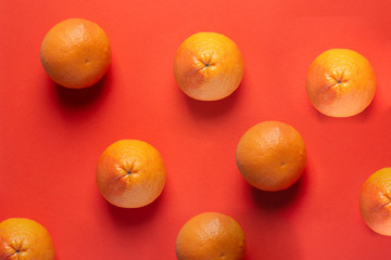 Pattern with whole grapefruits on a coral background. Fruit bright abstraction