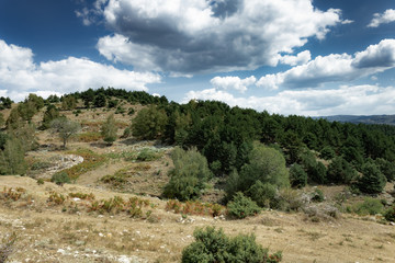 Fototapeta na wymiar Rural road in the forest of a hilly region