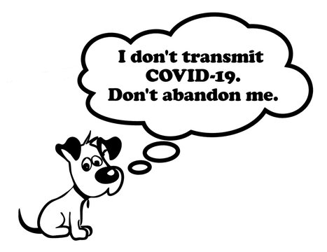 Image of a sad puppy with message "I don't transmit COVID-19. Don't abandon me." inside the comic cloud. It can be used as a poster, wallpaper, design t-shirts and more.