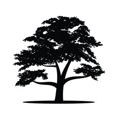 Black silhouette of a big tree on a white background. Vector image.
