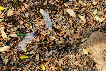 Plastic water bottles pollution in forest (Environment concept)
