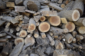 A lot of stacked firewood. Mountain of chopped tree branches.
